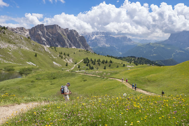 Flowering meadow with hikers in a beautiful alpine landscape