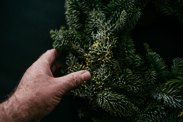 Cropped hand of man holding christmas tree against black background
