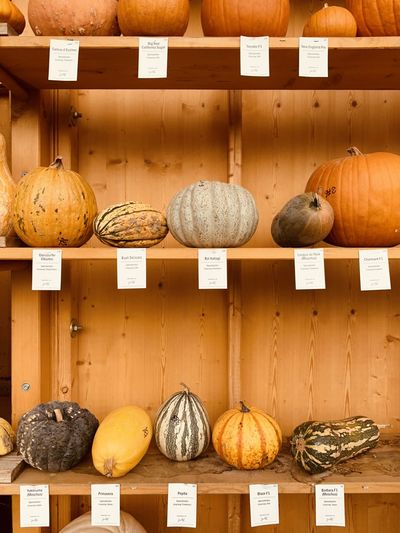 Various pumpkins on display at store