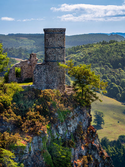 High angle view of buildings in forest