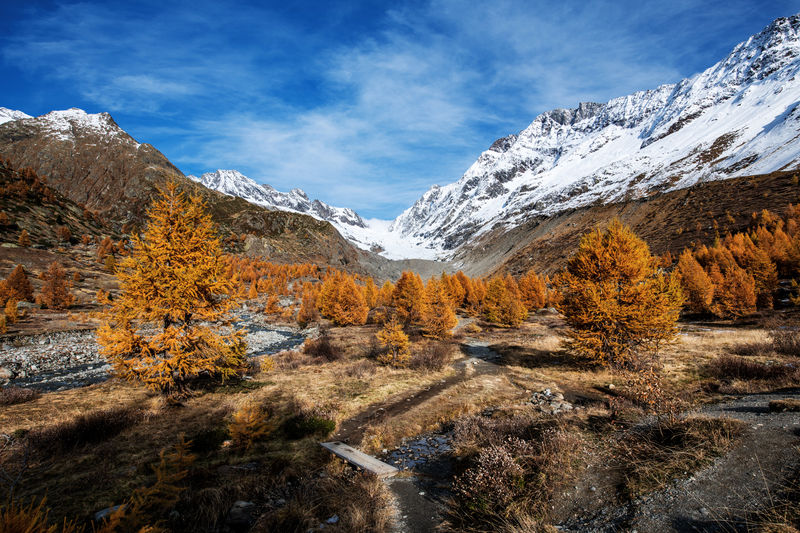 Scenic view of hikinh trail towards snowcapped mountains during autumn