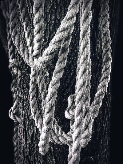 Close-up of ropes at night