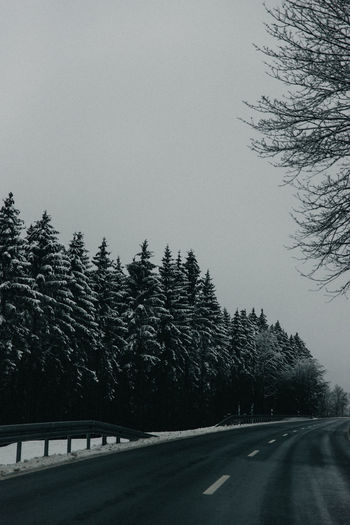 Road by trees against clear sky during winter