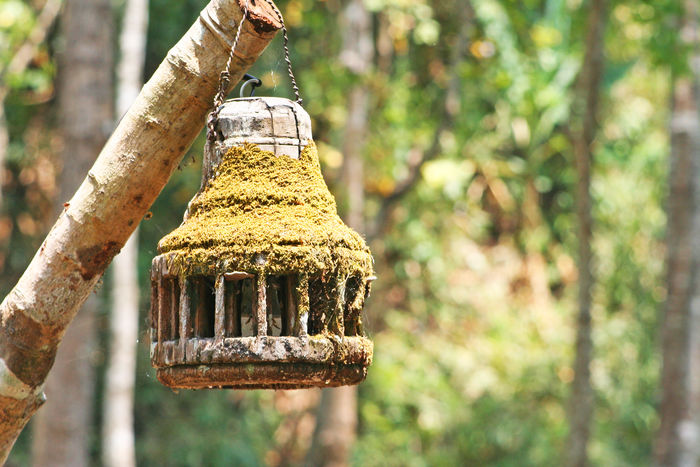 50 Tree Stump Pictures Hd Download Authentic Images On Eyeem
