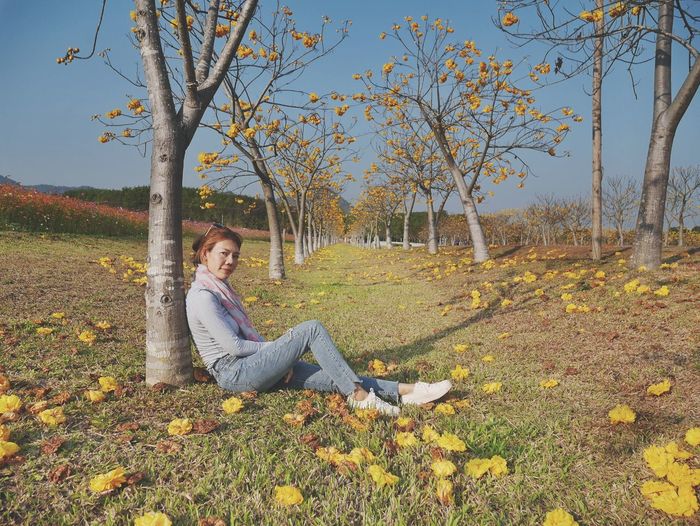 Portrait of woman sitting on field during autumn