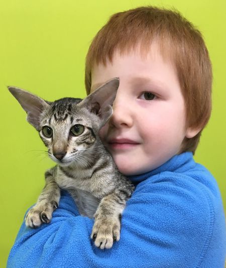 Portrait of cute boy carrying kitten against green background
