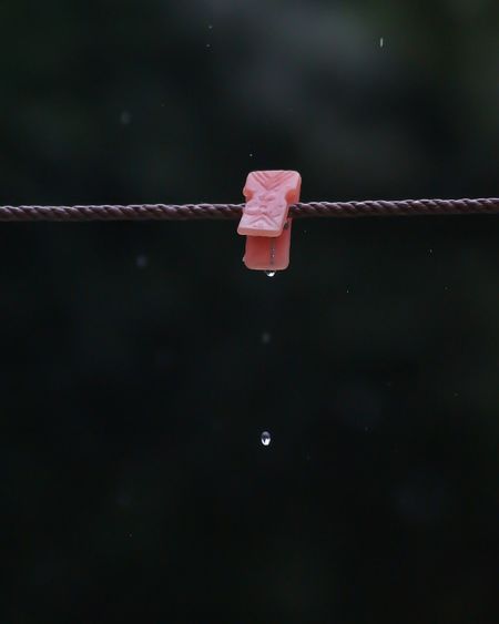 Close-up of clothespin on clothesline against black background