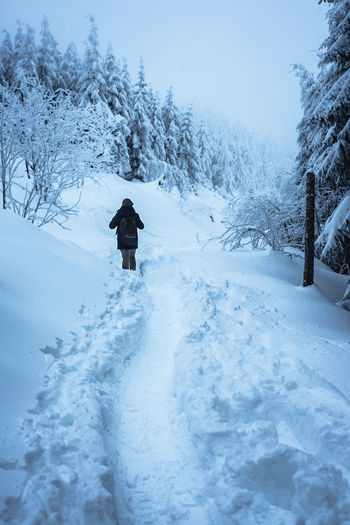 Rear view of man on snow covered field