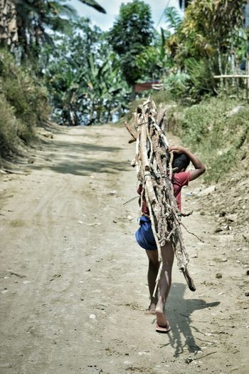 Rear view of boy walking with firewood on dirt road