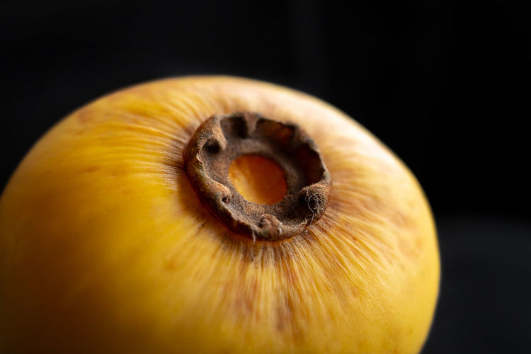 Close-up of lemon slice over black background