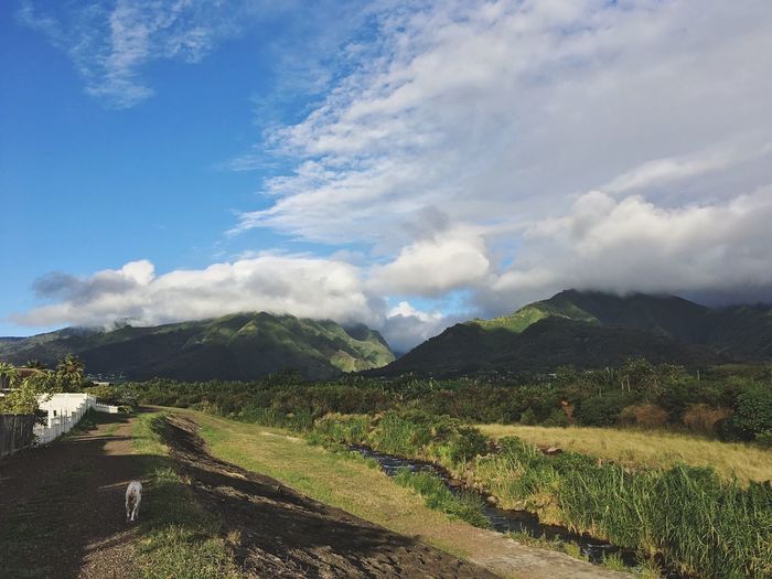 Scenic view of mountains against cloudy sky