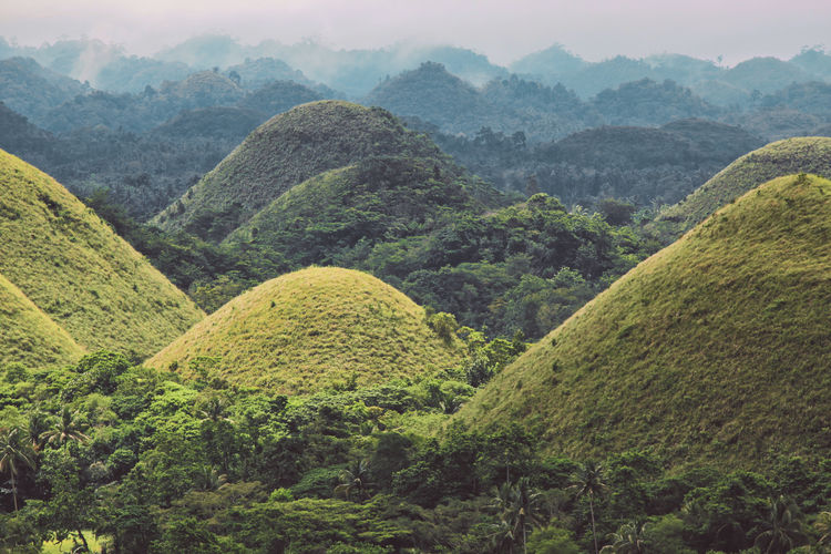 Chocolate hills landscape in philipines