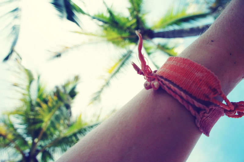 Cropped image of hand with bracelet against palm trees