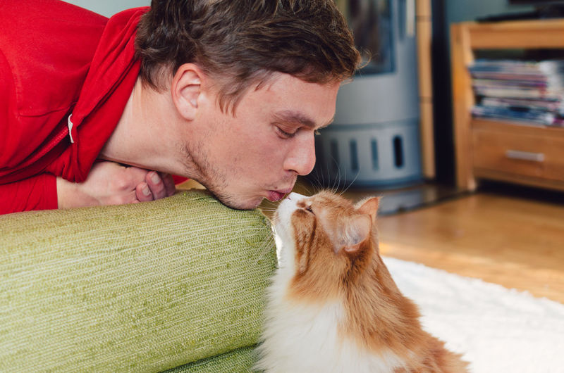 Young man kissing while looking at cat on sofa