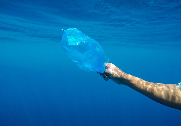 VIEW OF JELLYFISH SWIMMING IN SEA
