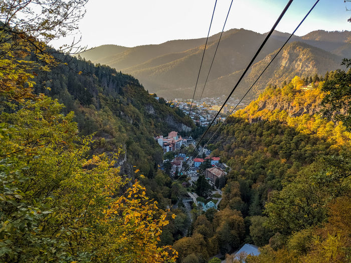 High angle view of plants and mountains during autumn