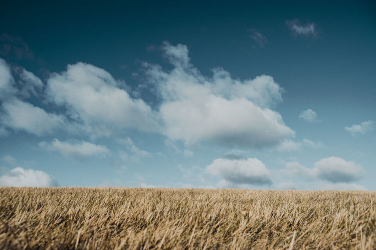 A filtered image of dry grass and beautiful cloud cover on a ridge on the south coast of england