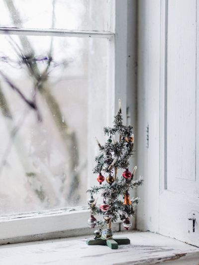 Christmas tree in window