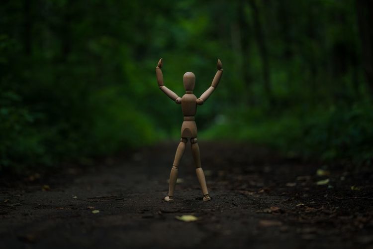 Close-up on figurine on field