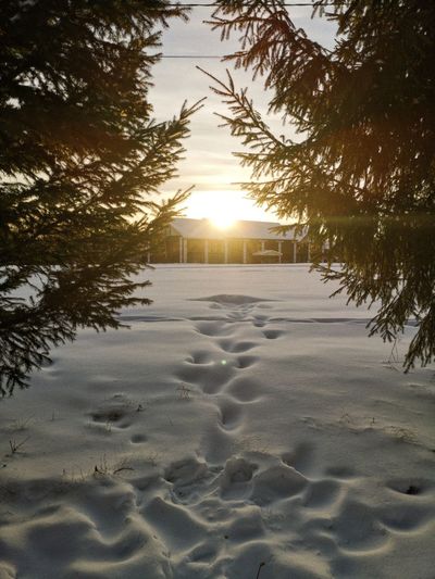 Scenic view of snow covered land during sunset