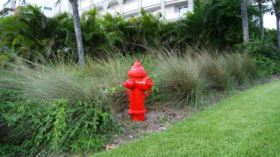 Red fire hydrant on field