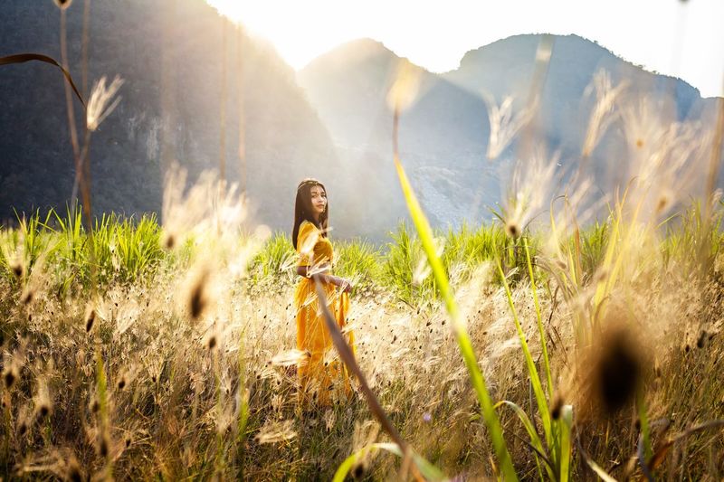 A beautiful woman in an indian dress stands among the valleys, grasslands and the evening sun.