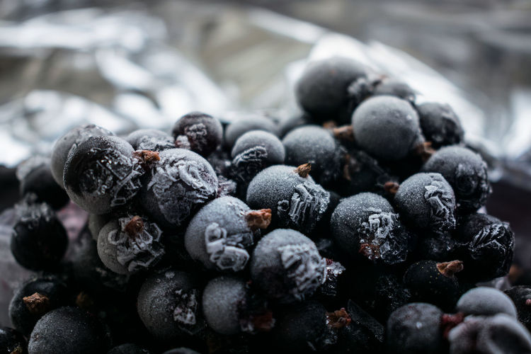 Close up of frozen black currant berries covered with hoarfrost. selective focus