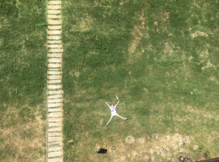 High angle view of lizard on a field