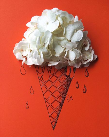 Close-up of white magnoila flowers on top of icecream cone drawing