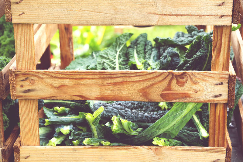 Close-up of vegetables