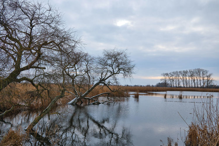 Scenic view of lake against sky