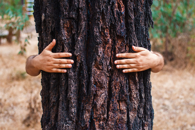 Cropped hands of man embracing tree