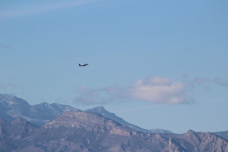 Low angle view of bird flying in mountains against sky