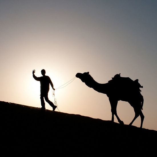 Silhouette herder with camel against clear sky