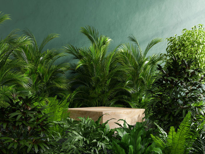 Wooden podium in tropical forest for product presentation and green wall.3d rendering
