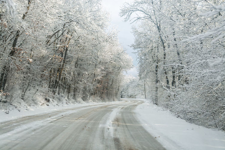 A winding snow-covered road through a dense white forest during the day