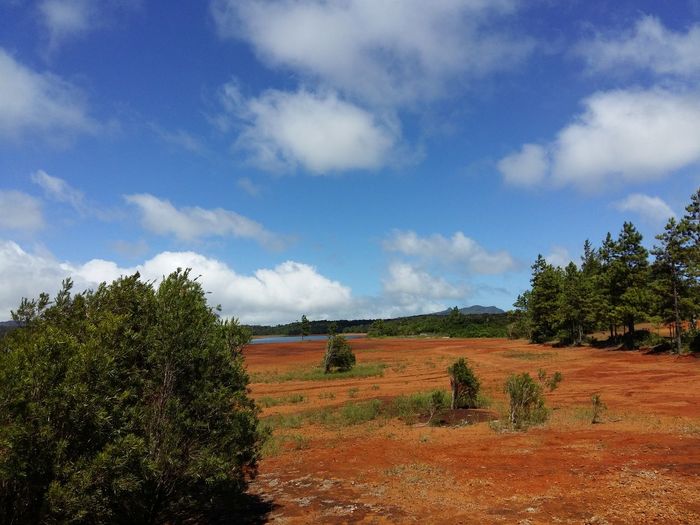 Scenic view of dry land  against sky