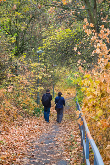 Rear view of couple walking amidst trees during autumn
