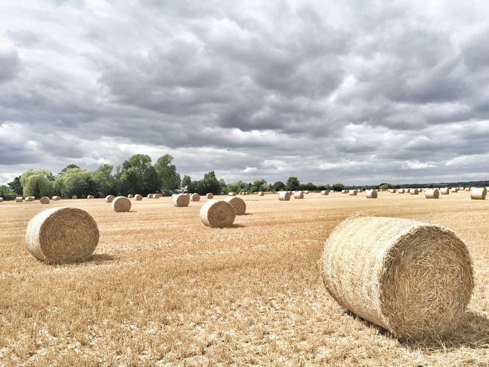 Hay bales on field against cloudy sky