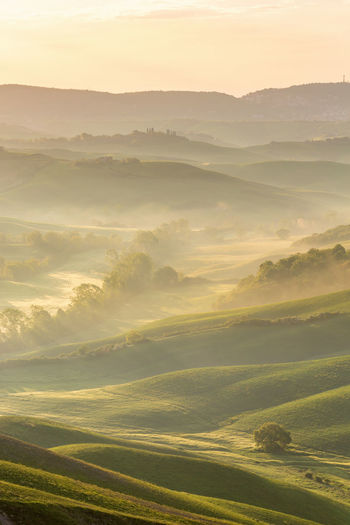 Rolling fields with fog in the valley at sunrise