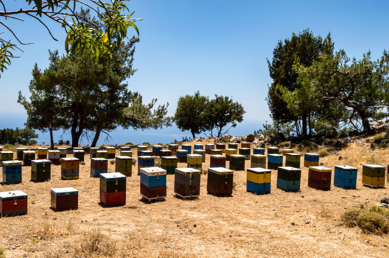 Colorful wooden beehives among the trees facing the sea in the mountains of crete