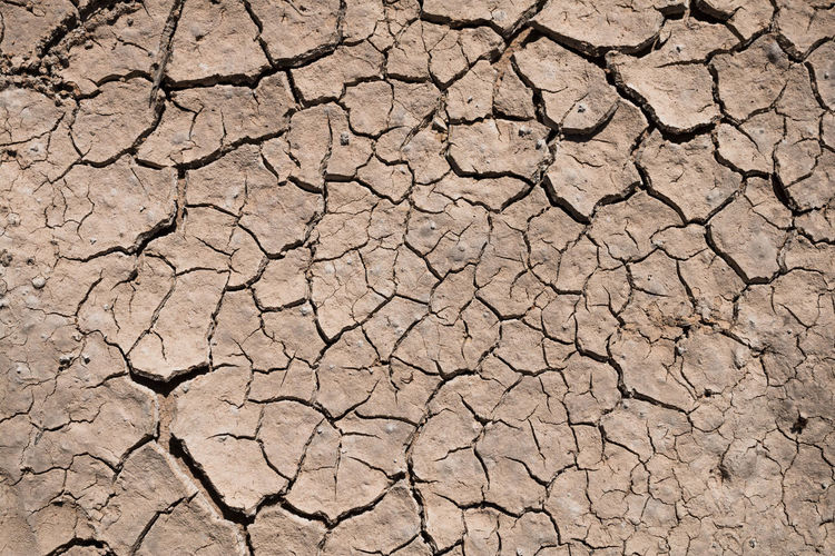 Close-up of cracked land