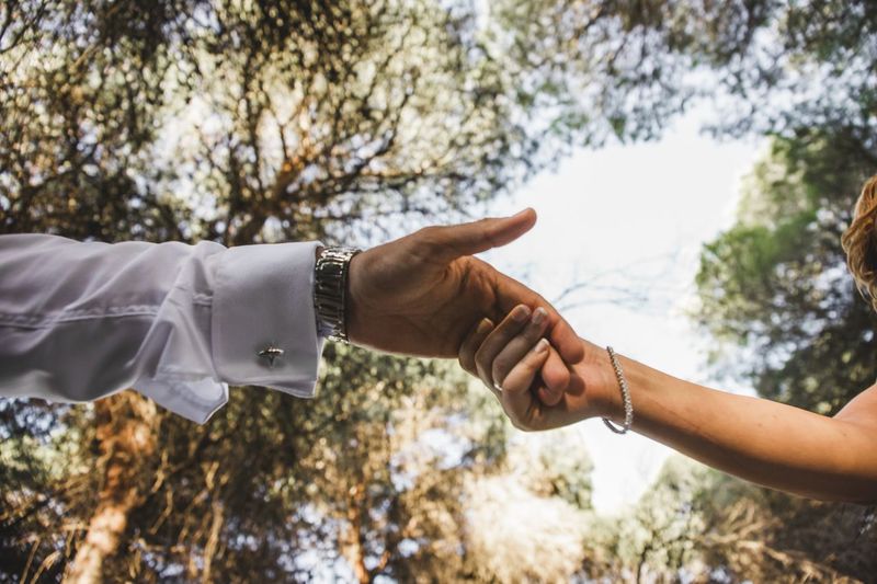 Cropped image of couple holding hands against trees