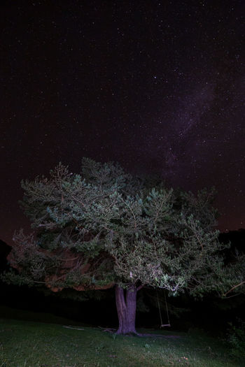 Digital composite image of woman standing on field against sky at night