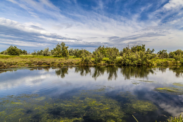 Reflection of trees in lake against sky
