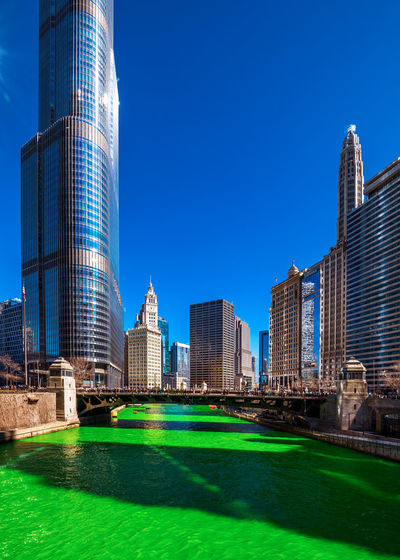 Chicago at patricks day river dying 