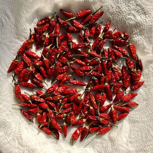 High angle view of red chili peppers