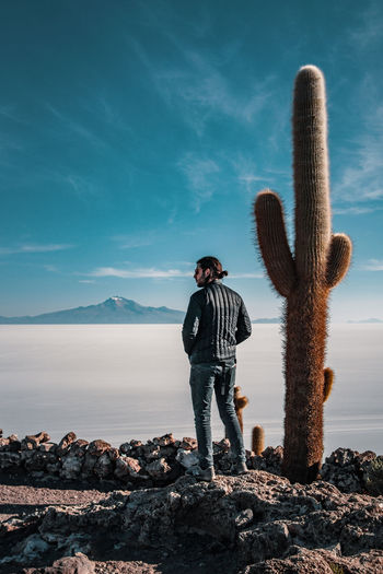 Man standing by cactus at beach against sky