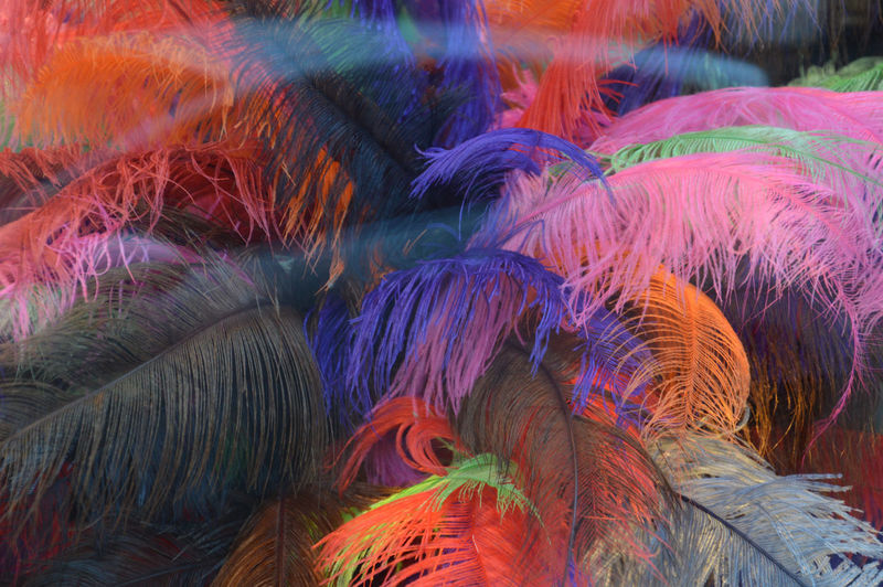 Full frame shot of multi colored feathers