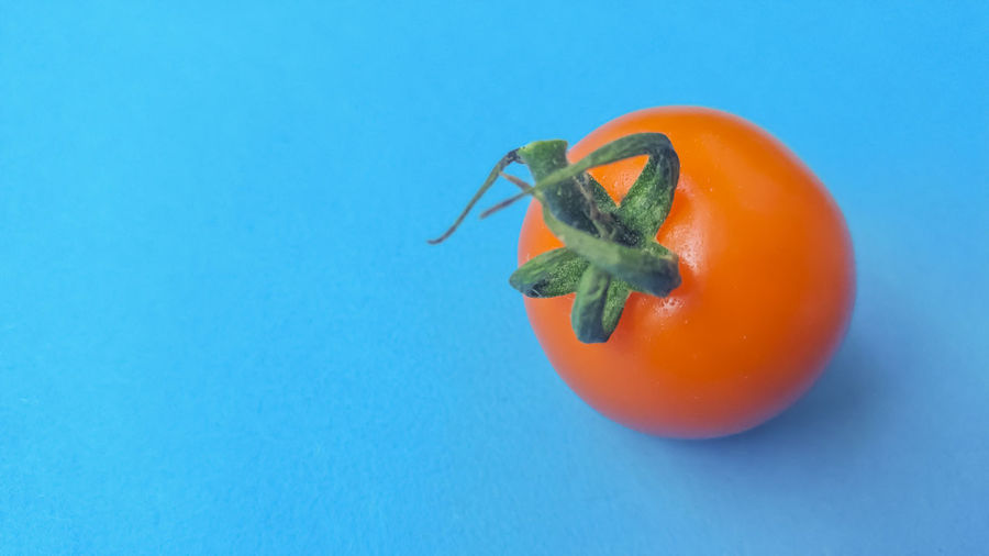 Studio shot of tomato